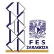 logo-fesZ